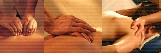 Medicina Tradicional Chinesa